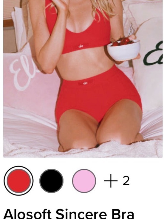 ALO Yoga Other - ALO Yoga Red Soft Sincere Bra